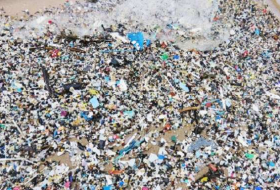 Global plastic waste on track to triple by 2060 